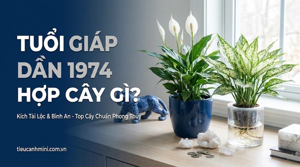 tuoi giap dan 1974 hop cay gi tong hop cay canh phong thuy cho nguoi tuoi giap dan