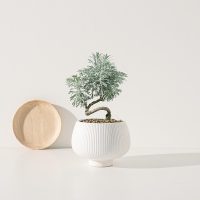 Ngũ hành phong thủy phân chia theo màu sắc 7 Bảng màu đặc trưng của người mệnh Kim